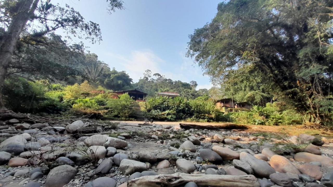 Vila Playaselva Reserva Biologica Archidona Exteriér fotografie