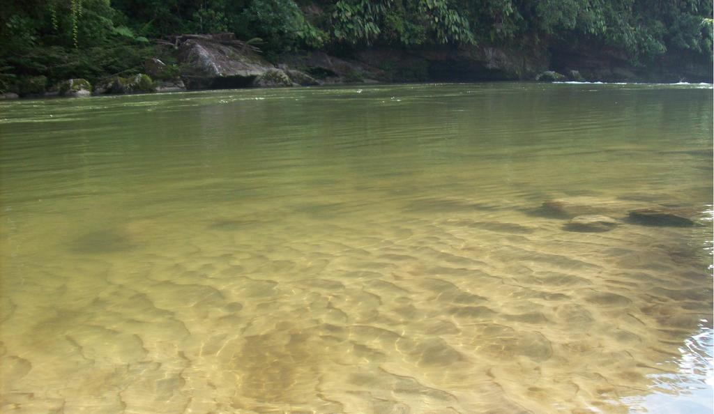 Vila Playaselva Reserva Biologica Archidona Exteriér fotografie