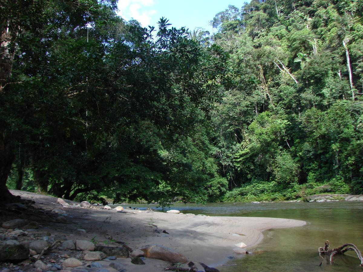 Vila Playaselva Reserva Biologica Archidona Exteriér fotografie